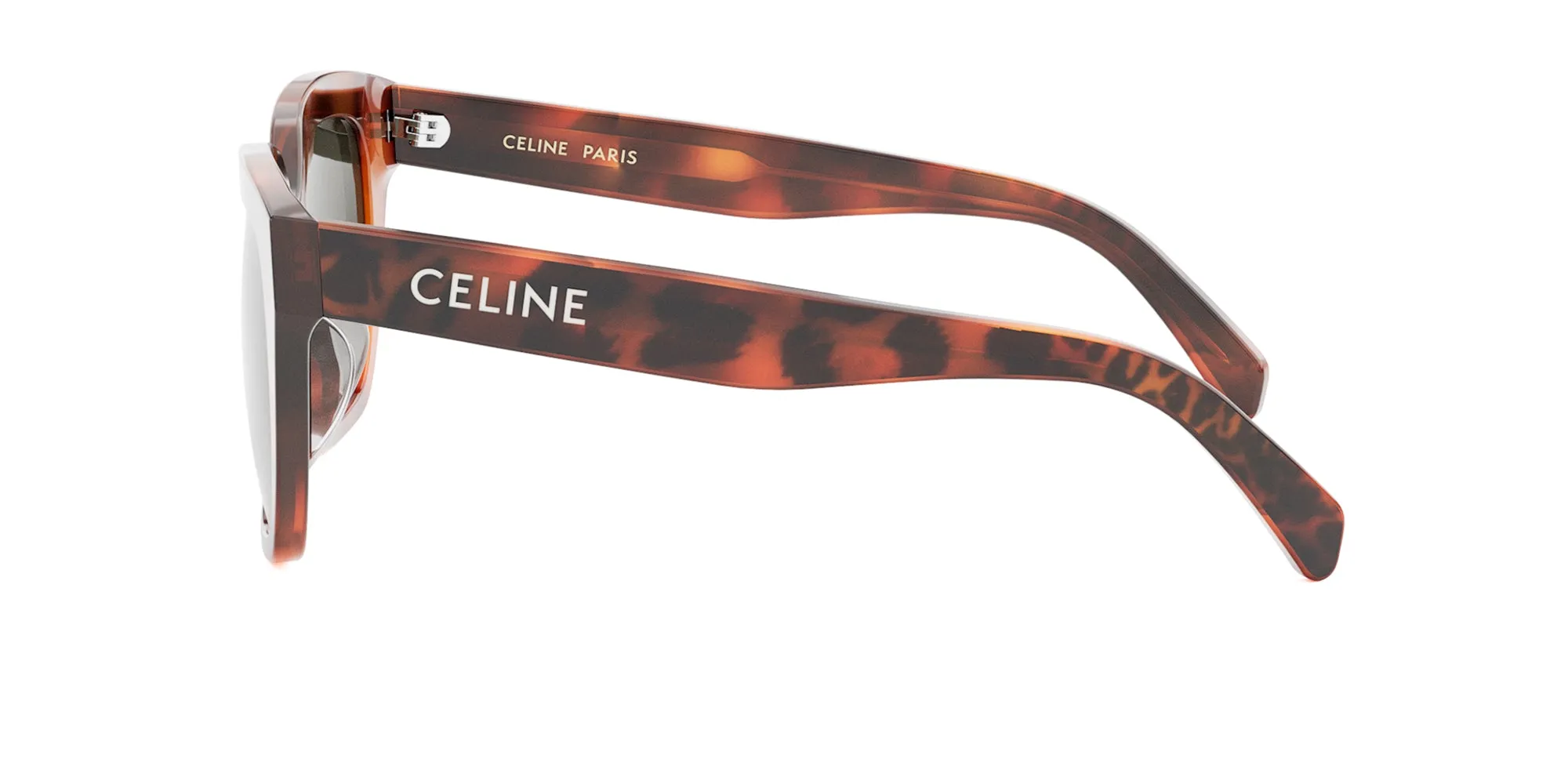 CELINE Monochroms CL40198F