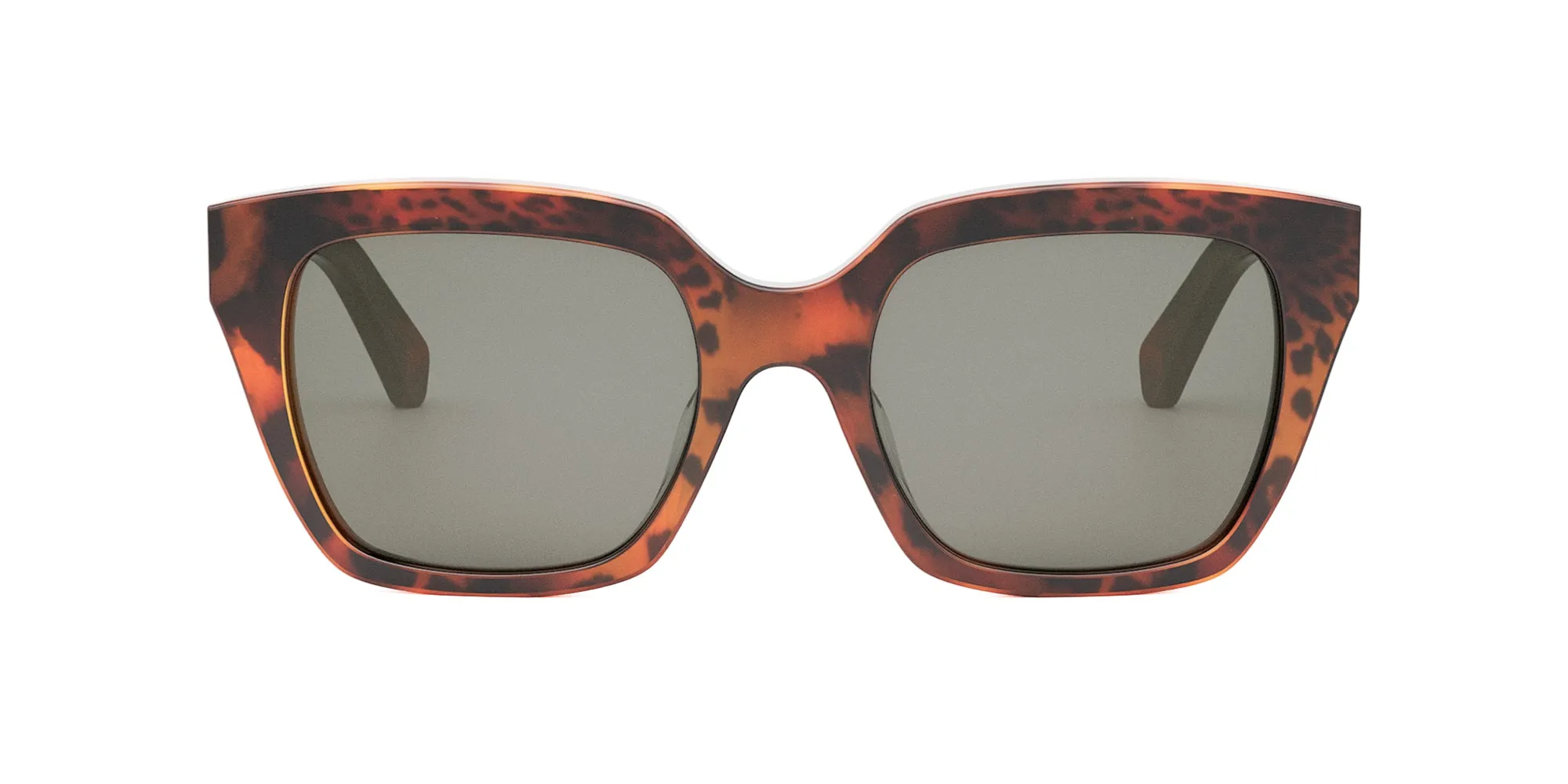 CELINE Monochroms CL40198F