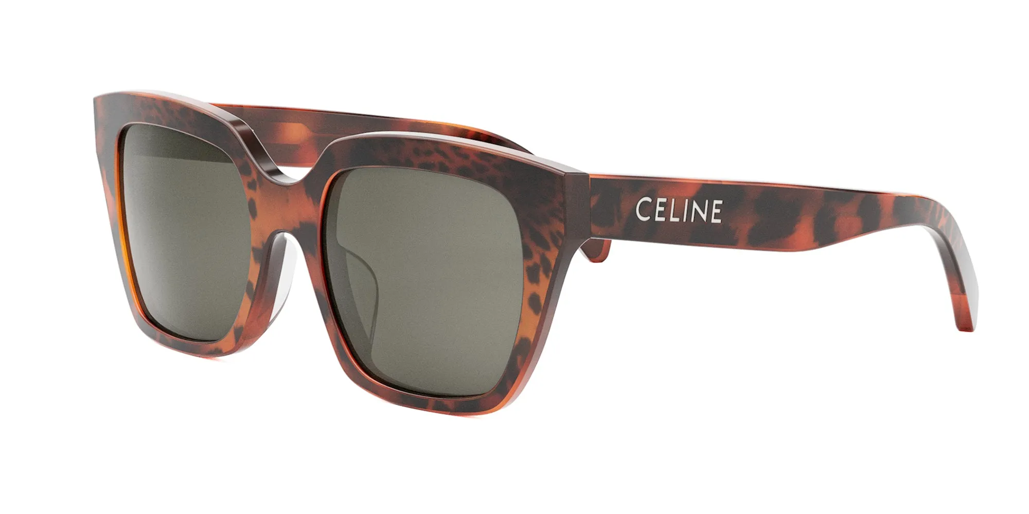 CELINE Monochroms CL40198F