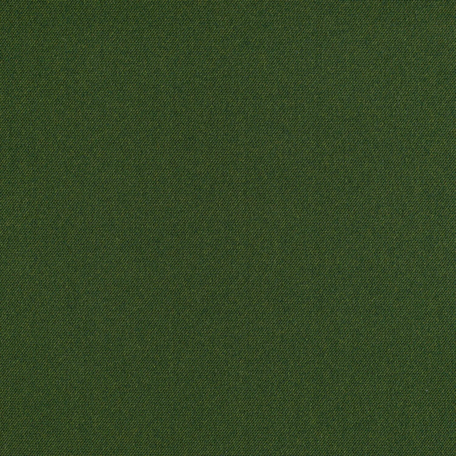 Cult Classic - Emerald City - 1031 - 11