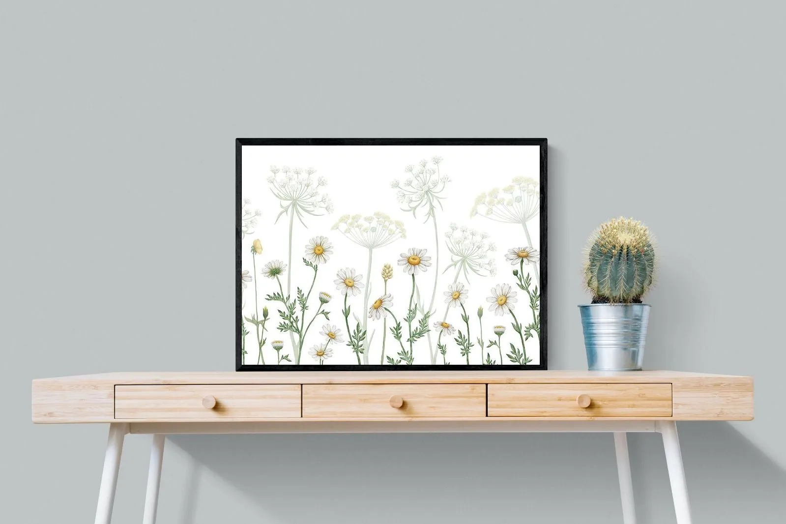 Dazzling Daisies (White)
