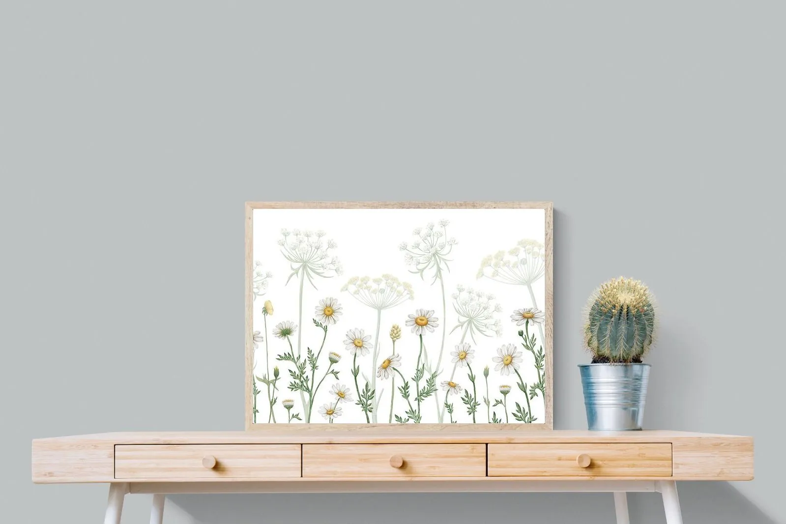 Dazzling Daisies (White)
