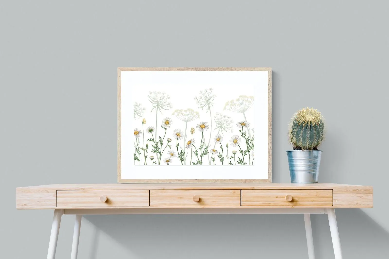 Dazzling Daisies (White)