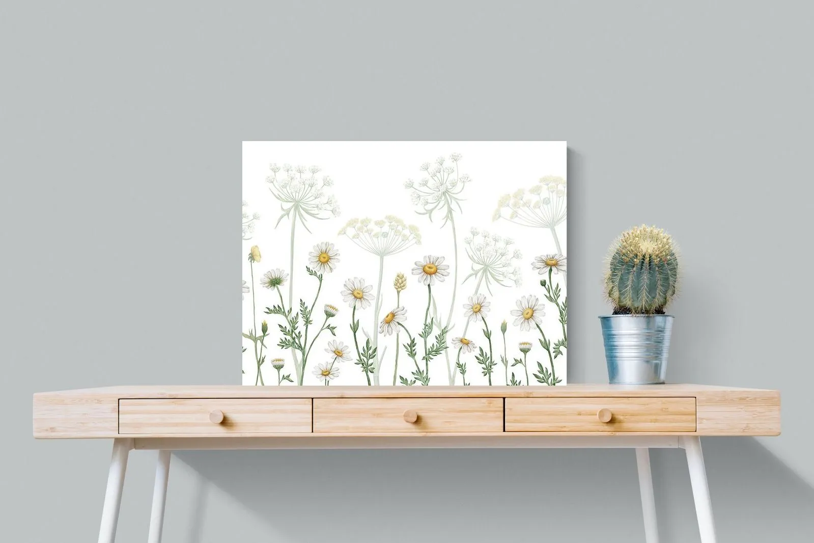 Dazzling Daisies (White)