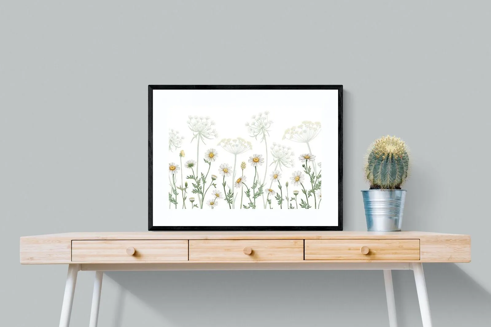 Dazzling Daisies (White)