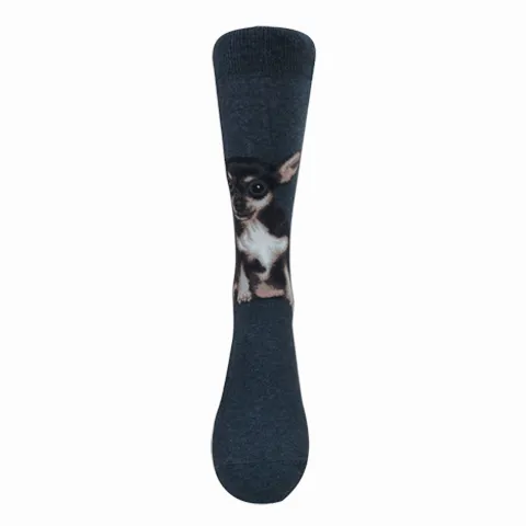 Dogs - Chihuahua Men Size