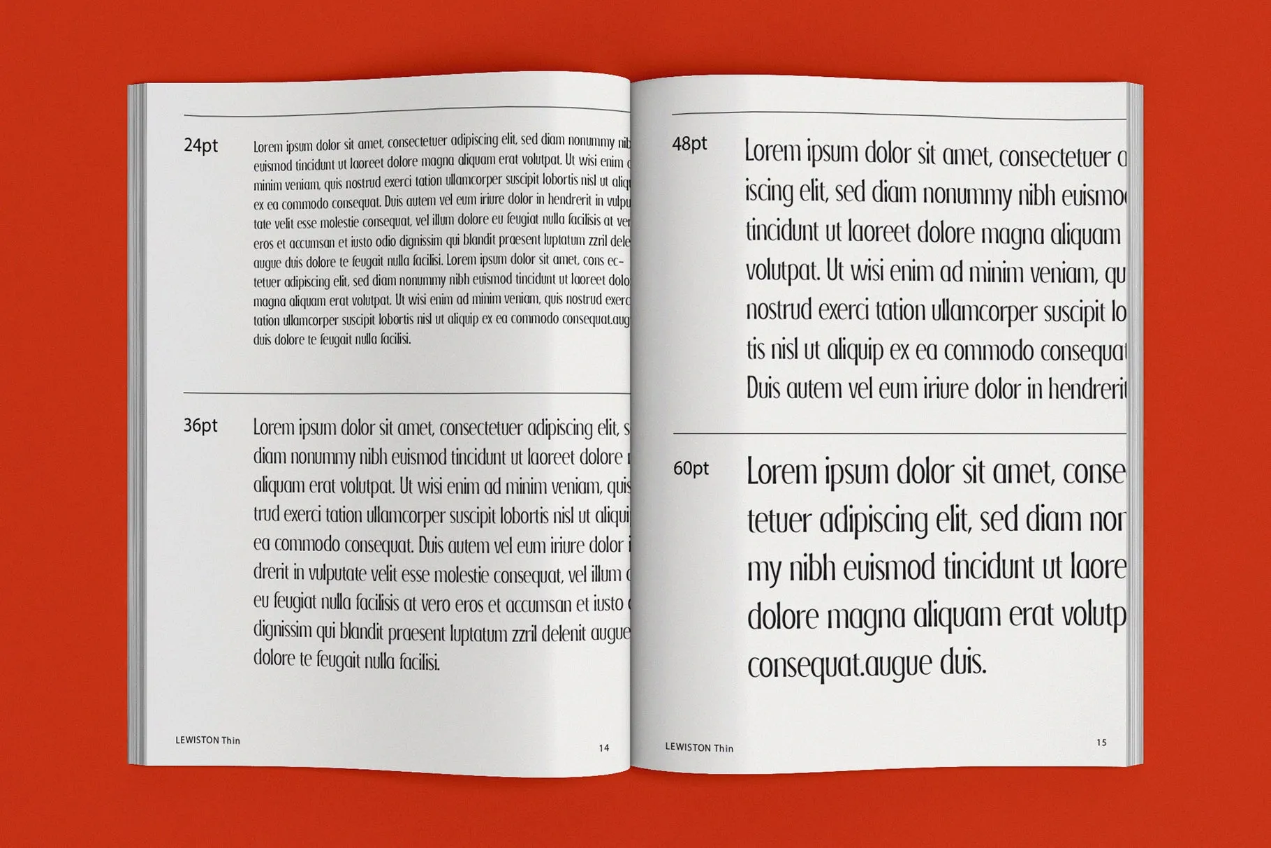LEWISTON: A Serif Typeface