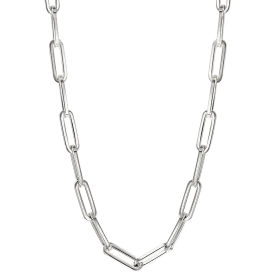Liz Silver Thick Chain Necklace