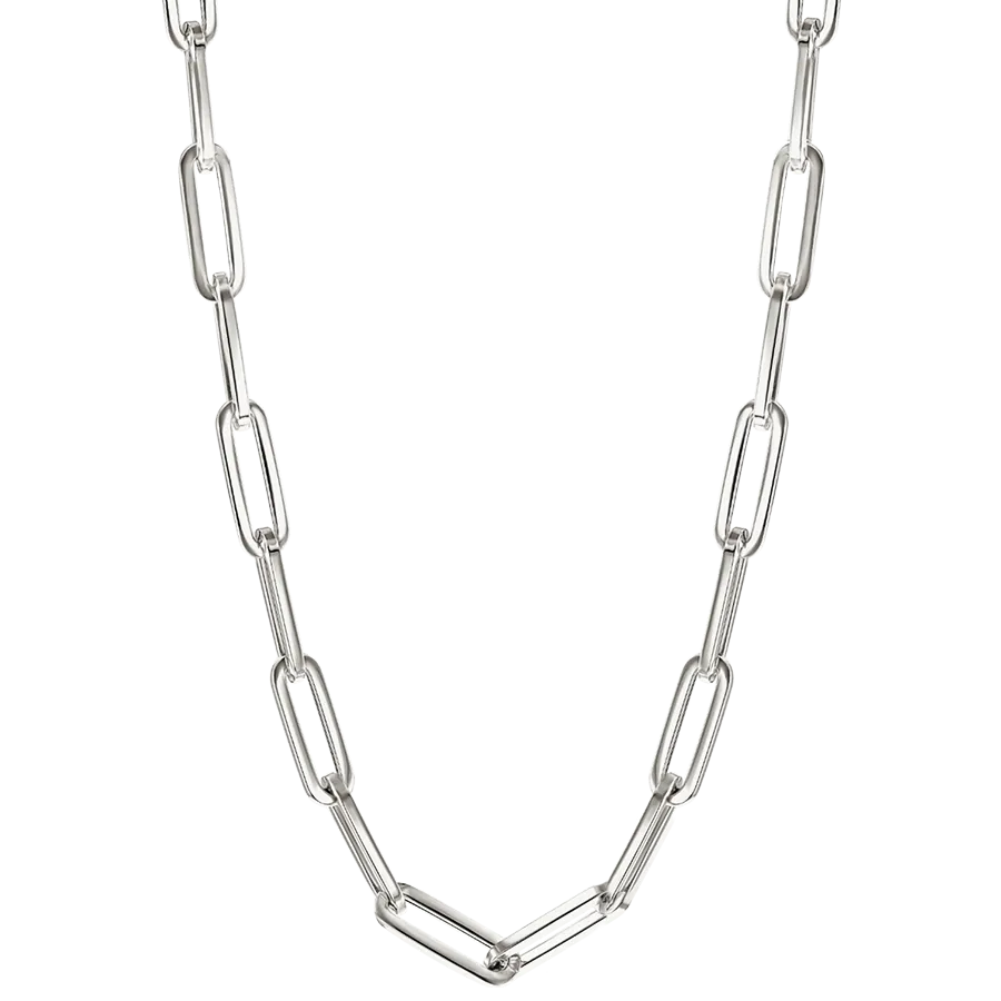 Liz Silver Thick Chain Necklace