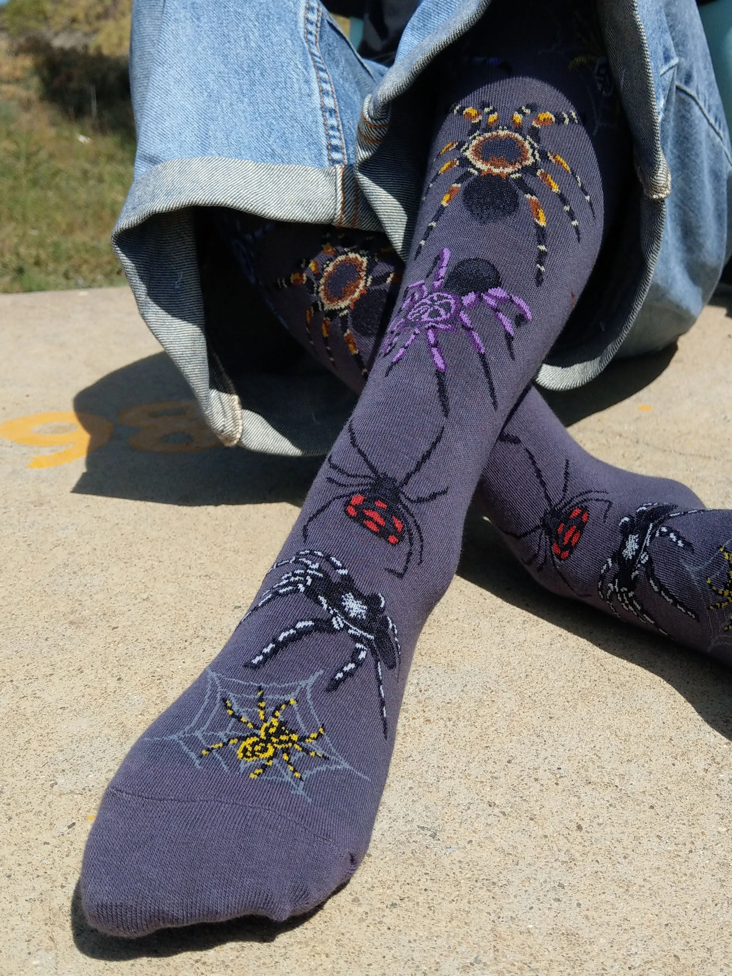 Spider(grey)