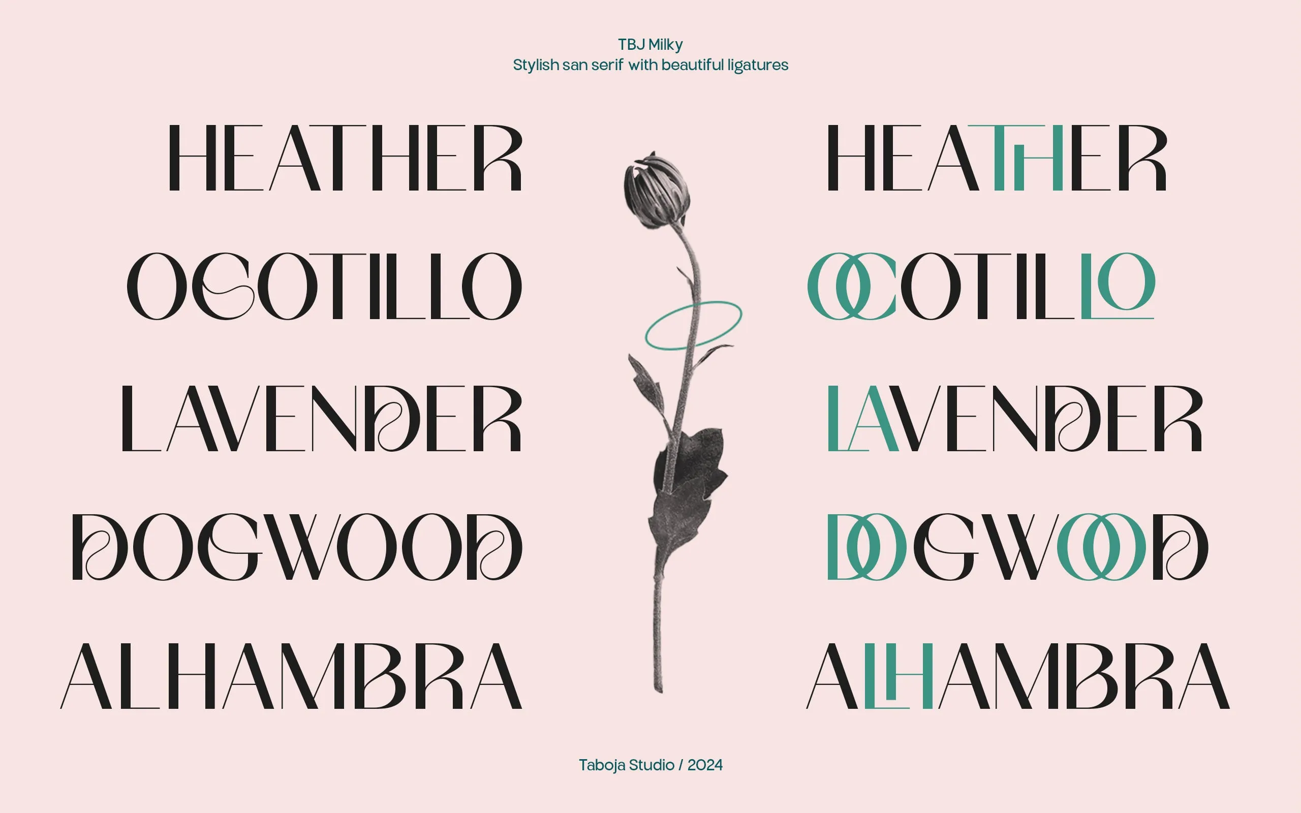 TBJ Milky – 8 Styles Boldly Sans