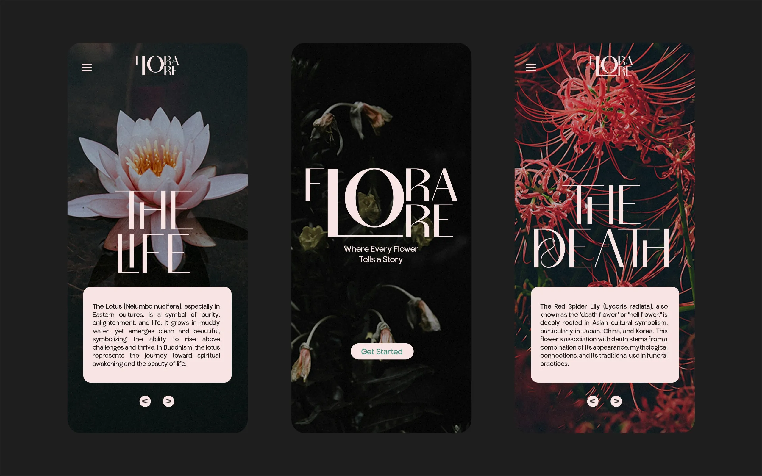 TBJ Milky – 8 Styles Boldly Sans