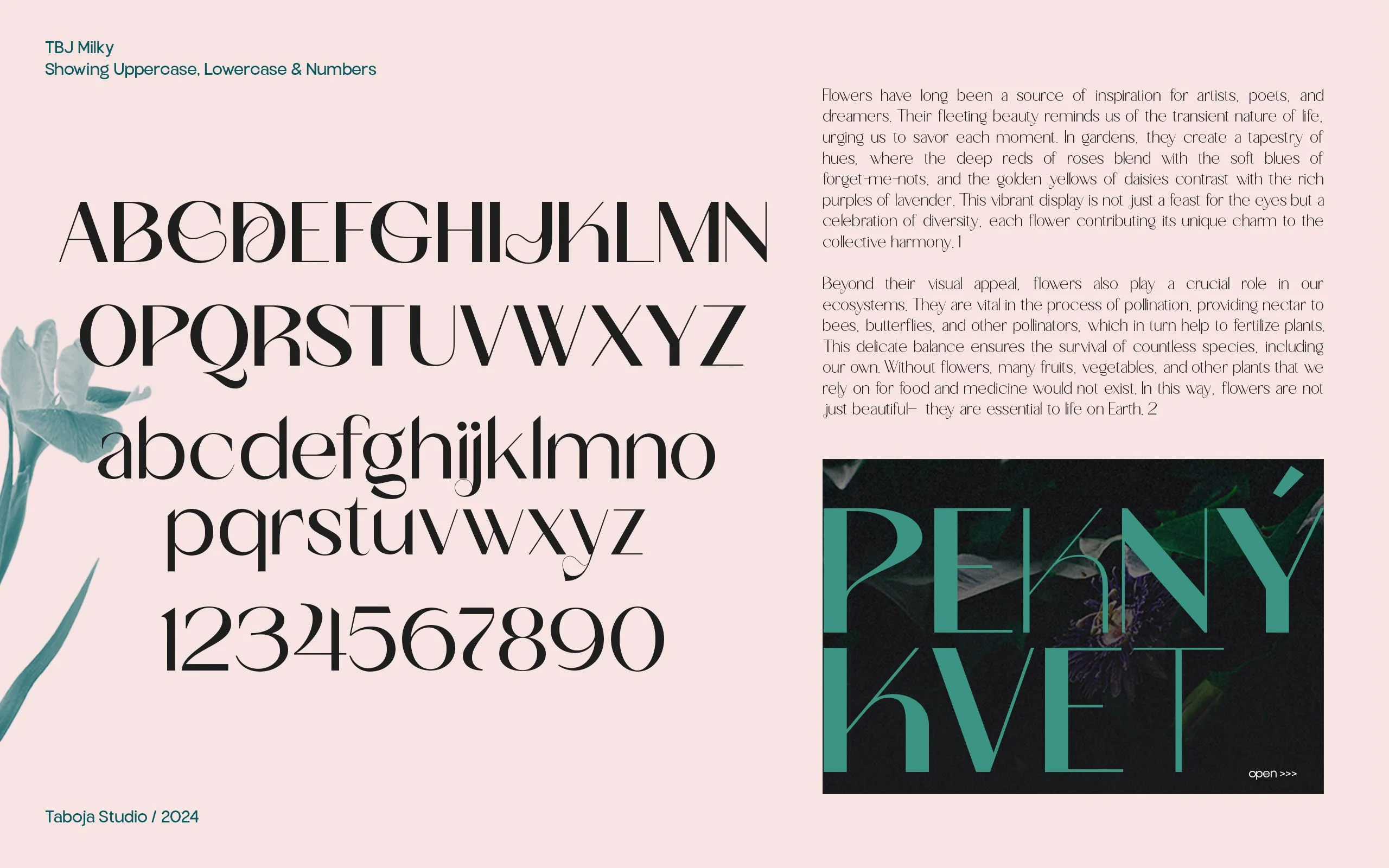 TBJ Milky – 8 Styles Boldly Sans