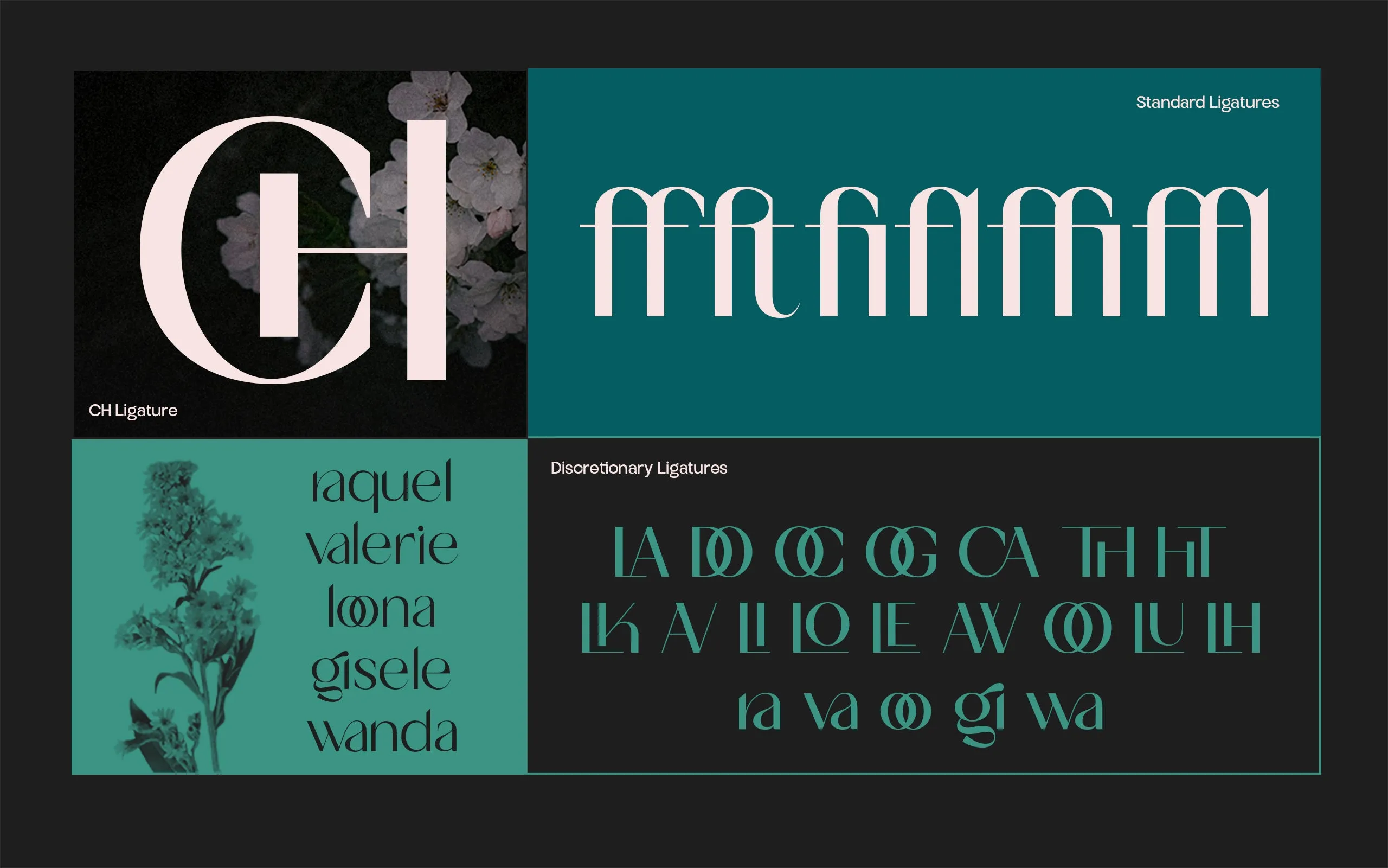 TBJ Milky – 8 Styles Boldly Sans
