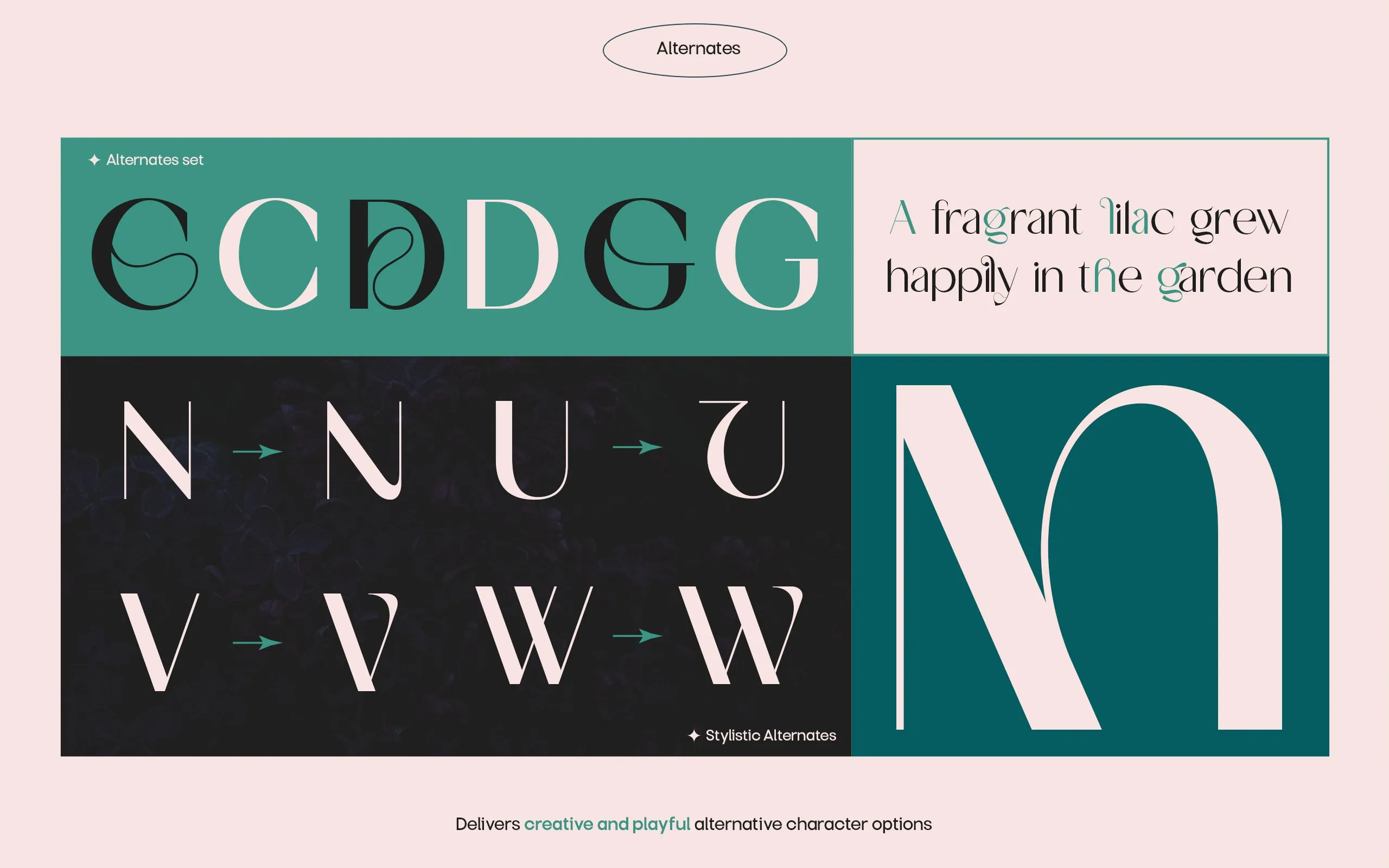 TBJ Milky – 8 Styles Boldly Sans