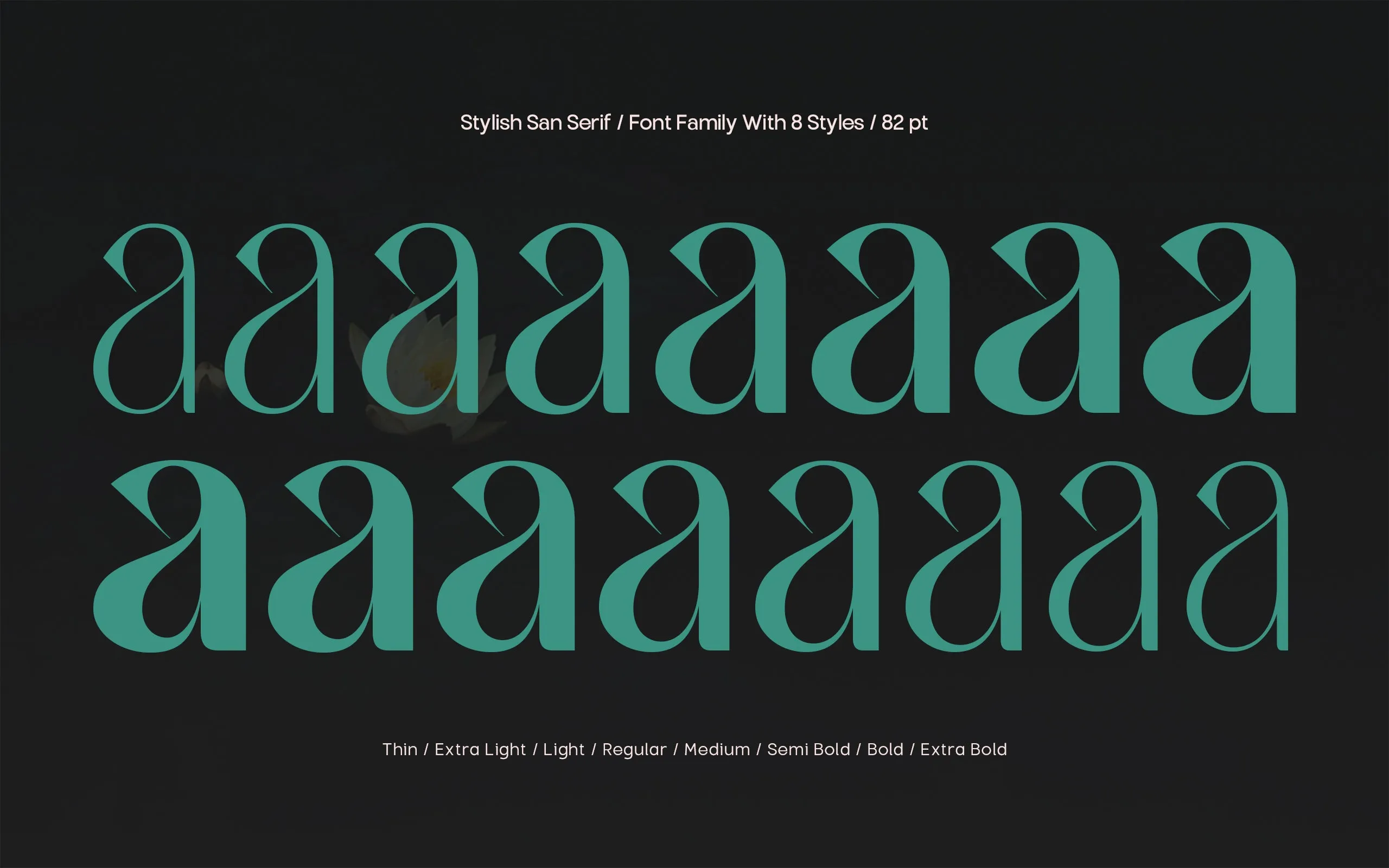 TBJ Milky – 8 Styles Boldly Sans