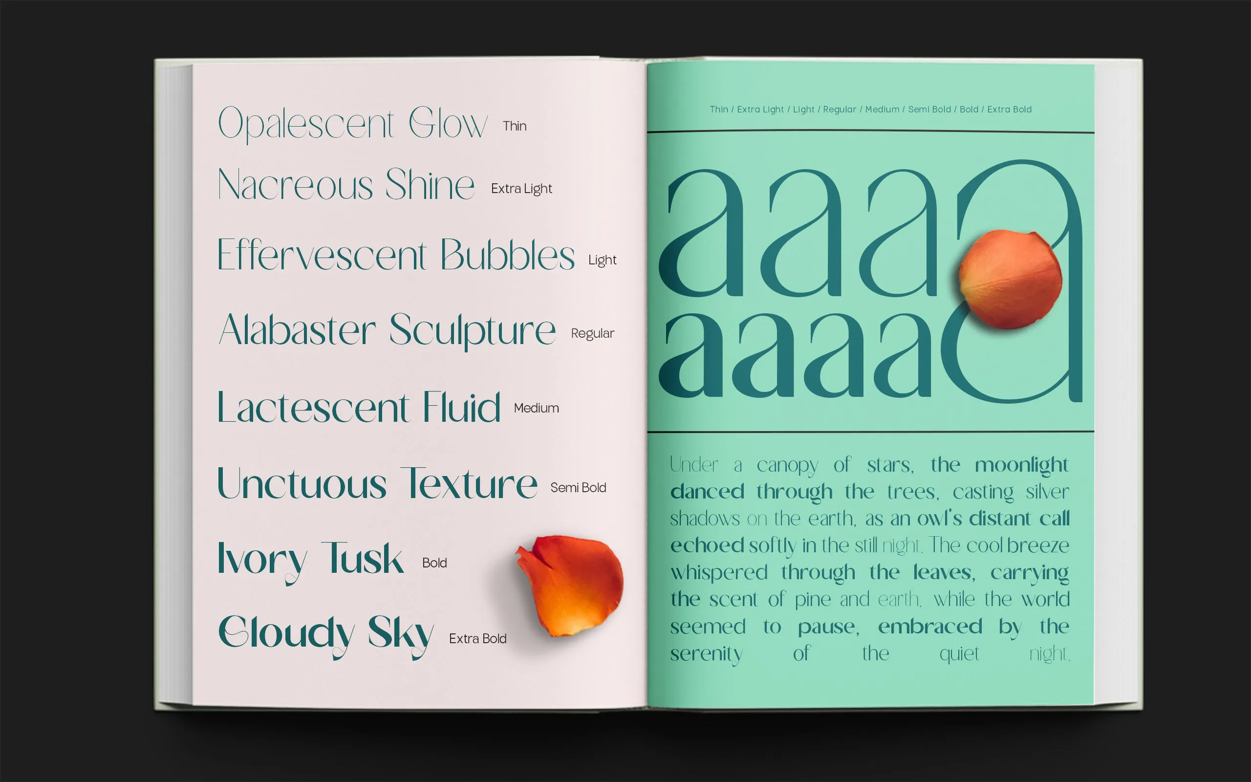TBJ Milky – 8 Styles Boldly Sans
