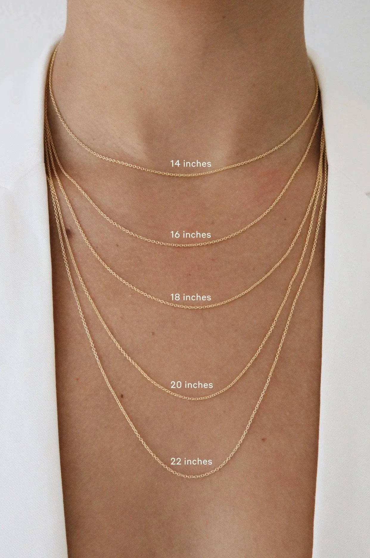 Thick Rolo Chain Necklace - Gold