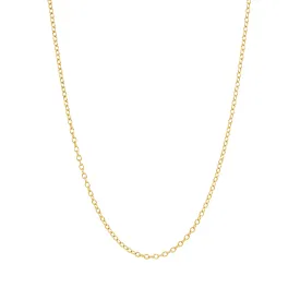 Thick Rolo Chain Necklace - Gold