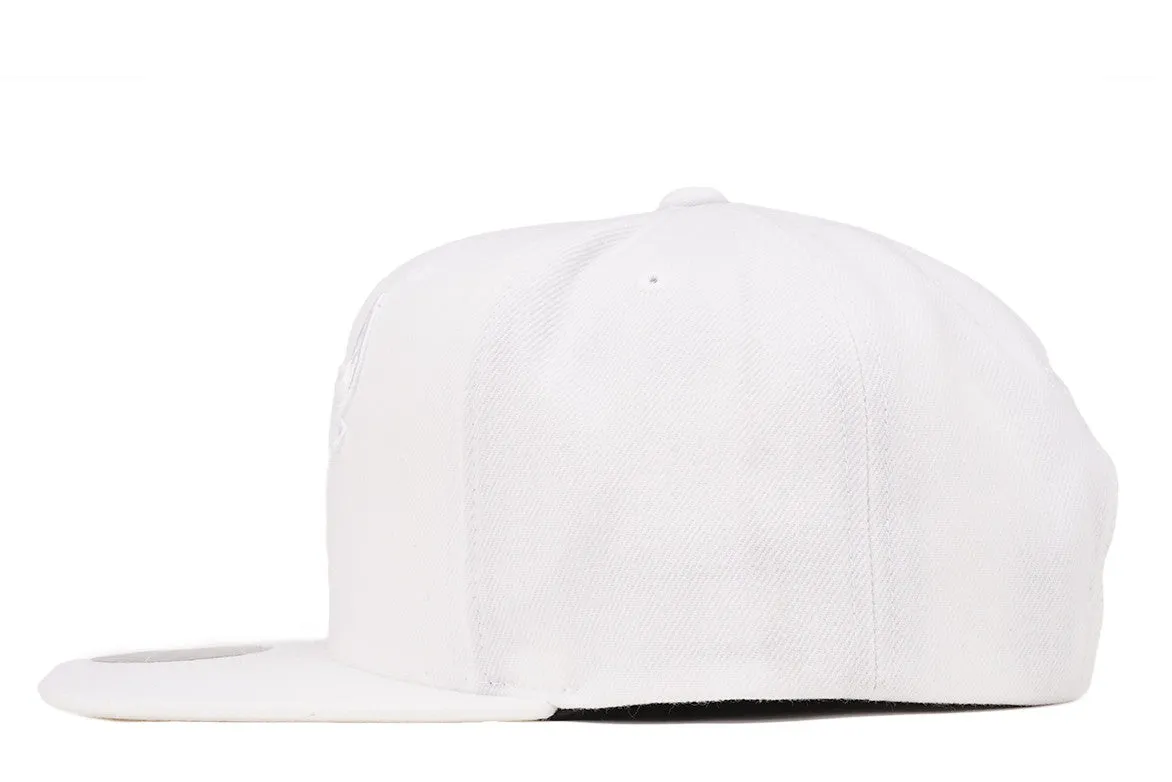 WARRIORS TONAL SNAPBACK - WHITE