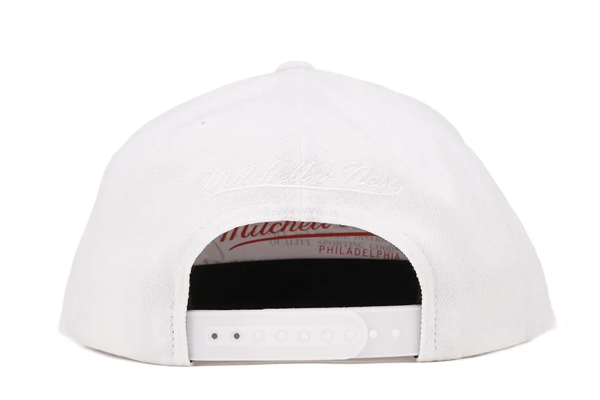 WARRIORS TONAL SNAPBACK - WHITE